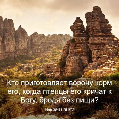 Picture 03 - Иов 38:41 RUSV - Кто приготовляет ворону - Bible Verse Picture