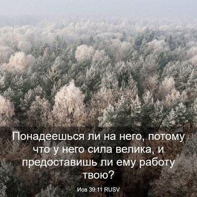 Picture 03 - Иов 39:11 RUSV - Понадеешься ли на него, - Bible Verse Picture
