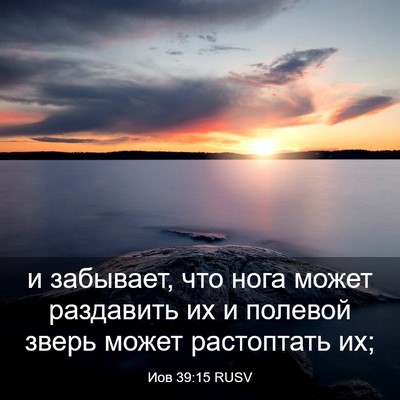 Picture 03 - Иов 39:15 RUSV - и забывает, что нога может - Bible Verse Picture