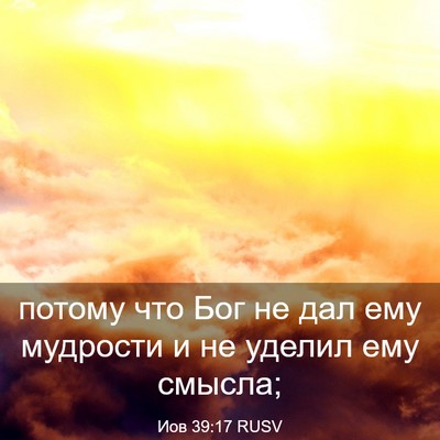 Picture 03 - Иов 39:17 RUSV - потому что Бог не дал ему - Bible Verse Picture