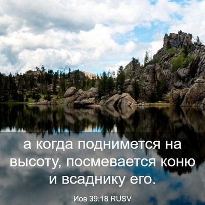 Picture 03 - Иов 39:18 RUSV - а когда поднимется на - Bible Verse Picture