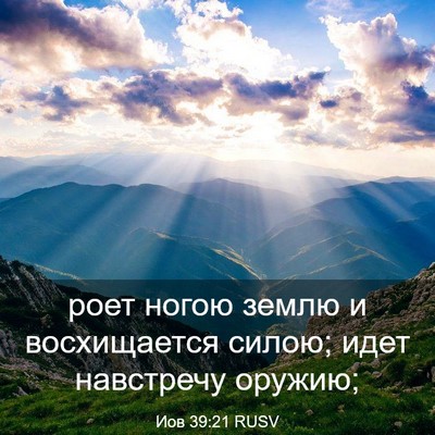 Picture 03 - Иов 39:21 RUSV - роет ногою землю и - Bible Verse Picture