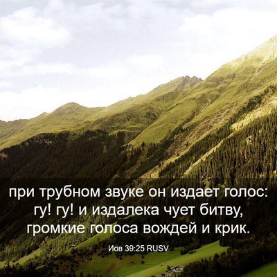 Picture 03 - Иов 39:25 RUSV - при трубном звуке он - Bible Verse Picture