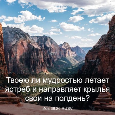 Picture 03 - Иов 39:26 RUSV - Твоею ли мудростью летает - Bible Verse Picture