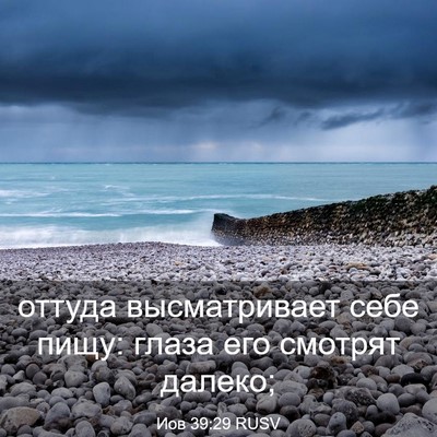 Picture 03 - Иов 39:29 RUSV - оттуда высматривает себе - Bible Verse Picture