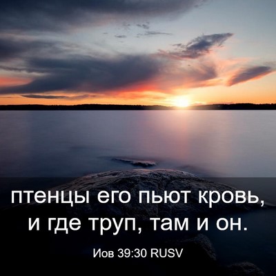 Picture 03 - Иов 39:30 RUSV - птенцы его пьют кровь, и - Bible Verse Picture