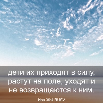 Picture 03 - Иов 39:4 RUSV - дети их приходят в силу, - Bible Verse Picture