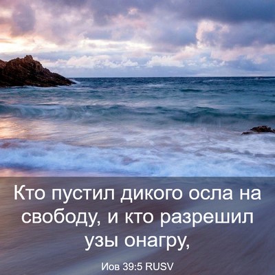 Picture 03 - Иов 39:5 RUSV - Кто пустил дикого осла на - Bible Verse Picture