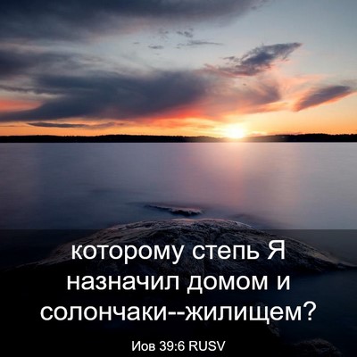 Picture 03 - Иов 39:6 RUSV - которому степь Я назначил - Bible Verse Picture