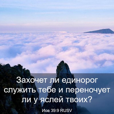 Picture 03 - Иов 39:9 RUSV - Захочет ли единорог - Bible Verse Picture