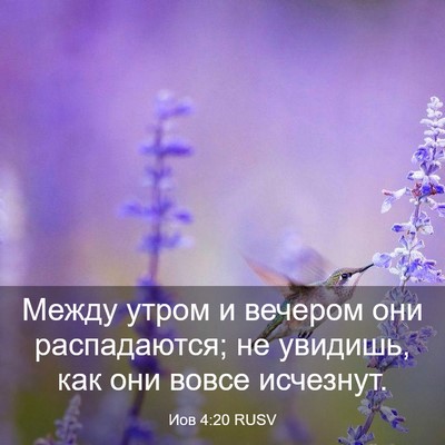 Picture 03 - Иов 4:20 RUSV - Между утром и вечером они - Bible Verse Picture