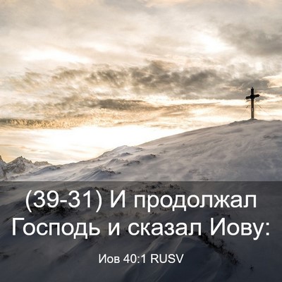 Picture 03 - Иов 40:1 RUSV - (39-31) И продолжал Господь и - Bible Verse Picture
