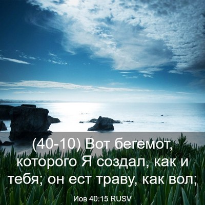 Picture 03 - Иов 40:15 RUSV - (40-10) Вот бегемот, которого - Bible Verse Picture
