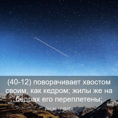 Picture 03 - Иов 40:17 RUSV - (40-12) поворачивает хвостом - Bible Verse Picture