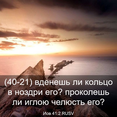 Picture 03 - Иов 41:2 RUSV - (40-21) вденешь ли кольцо в - Bible Verse Picture