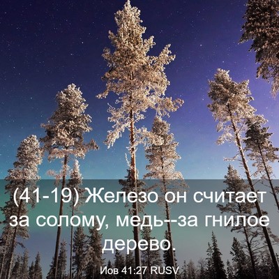 Picture 03 - Иов 41:27 RUSV - (41-19) Железо он считает за - Bible Verse Picture
