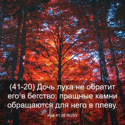 Picture 03 - Иов 41:28 RUSV - (41-20) Дочь лука не обратит - Bible Verse Picture
