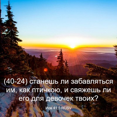 Picture 03 - Иов 41:5 RUSV - (40-24) станешь ли - Bible Verse Picture
