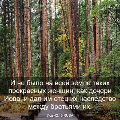 Picture 03 - Иов 42:15 RUSV - И не было на всей земле - Bible Verse Picture