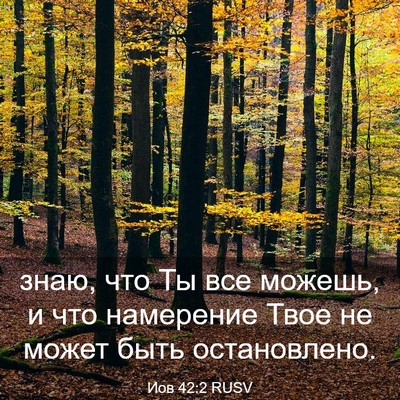 Picture 03 - Иов 42:2 RUSV - знаю, что Ты все можешь, и - Bible Verse Picture