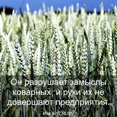 Picture 03 - Иов 5:12 RUSV - Он разрушает замыслы - Bible Verse Picture