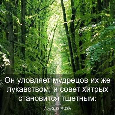 Picture 03 - Иов 5:13 RUSV - Он уловляет мудрецов их же - Bible Verse Picture