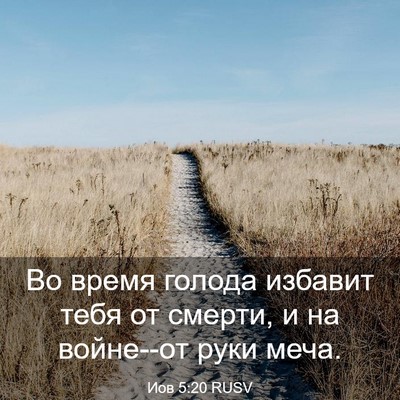 Picture 03 - Иов 5:20 RUSV - Во время голода избавит - Bible Verse Picture