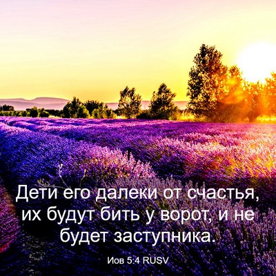 Picture 03 - Иов 5:4 RUSV - Дети его далеки от счастья, - Bible Verse Picture