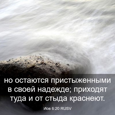 Picture 03 - Иов 6:20 RUSV - но остаются пристыженными - Bible Verse Picture