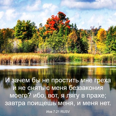Picture 03 - Иов 7:21 RUSV - И зачем бы не простить мне - Bible Verse Picture