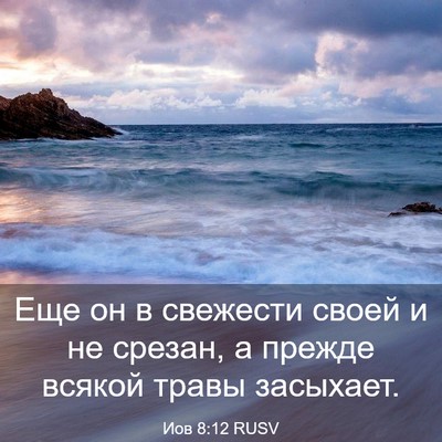 Picture 03 - Иов 8:12 RUSV - Еще он в свежести своей и - Bible Verse Picture