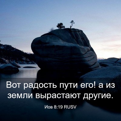 Picture 03 - Иов 8:19 RUSV - Вот радость пути его! а из - Bible Verse Picture