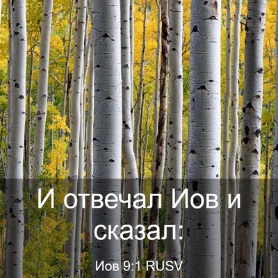 Picture 03 - Иов 9:1 RUSV - И отвечал Иов и - Bible Verse Picture