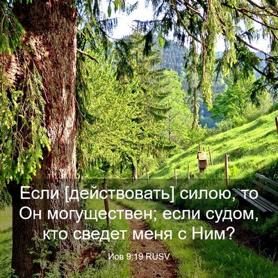 Picture 03 - Иов 9:19 RUSV - Если [действовать] силою, - Bible Verse Picture