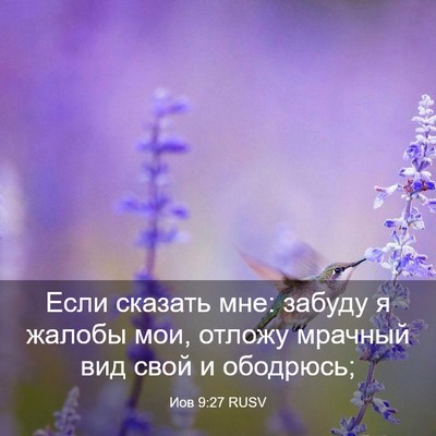 Picture 03 - Иов 9:27 RUSV - Если сказать мне: забуду я - Bible Verse Picture
