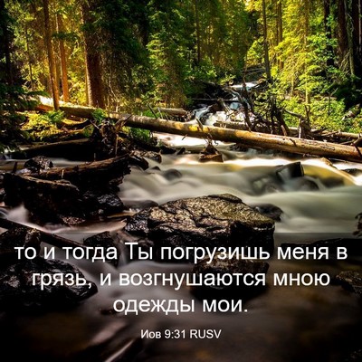 Picture 03 - Иов 9:31 RUSV - то и тогда Ты погрузишь - Bible Verse Picture