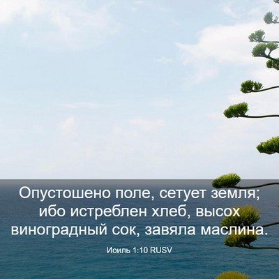 Picture 03 - Иоиль 1:10 RUSV - Опустошено поле, сетует - Bible Verse Picture