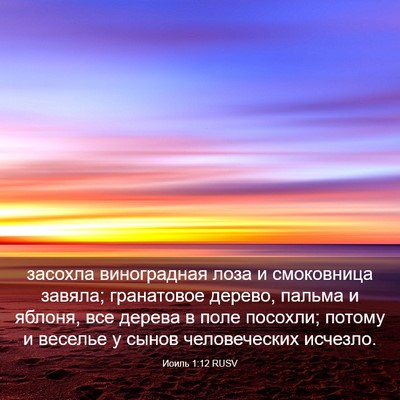 Picture 03 - Иоиль 1:12 RUSV - засохла виноградная лоза и - Bible Verse Picture