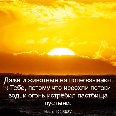 Picture 03 - Иоиль 1:20 RUSV - Даже и животные на поле - Bible Verse Picture
