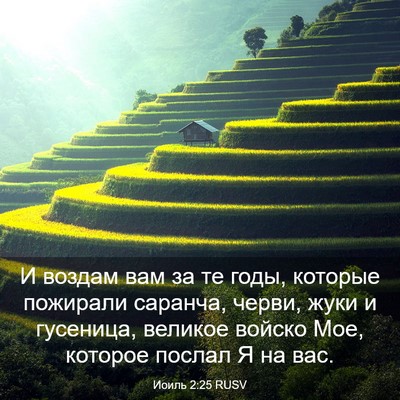 Picture 03 - Иоиль 2:25 RUSV - И воздам вам за те годы, - Bible Verse Picture