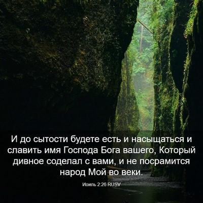 Picture 03 - Иоиль 2:26 RUSV - И до сытости будете есть и - Bible Verse Picture