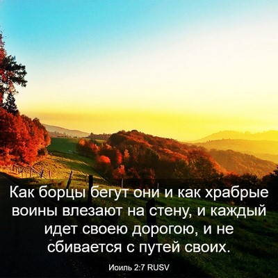 Picture 03 - Иоиль 2:7 RUSV - Как борцы бегут они и как - Bible Verse Picture