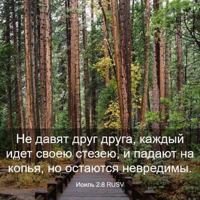 Picture 03 - Иоиль 2:8 RUSV - Не давят друг друга, каждый - Bible Verse Picture