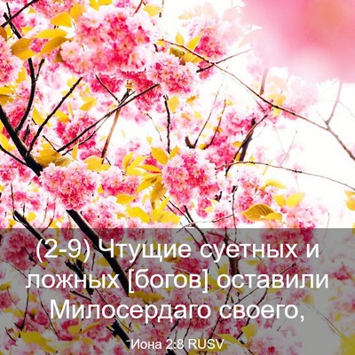 Picture 03 - Иона 2:8 RUSV - (2-9) Чтущие суетных и ложных - Bible Verse Picture