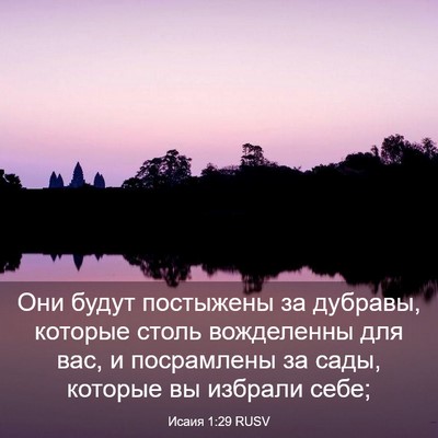 Picture 03 - Исаия 1:29 RUSV - Они будут постыжены за - Bible Verse Picture
