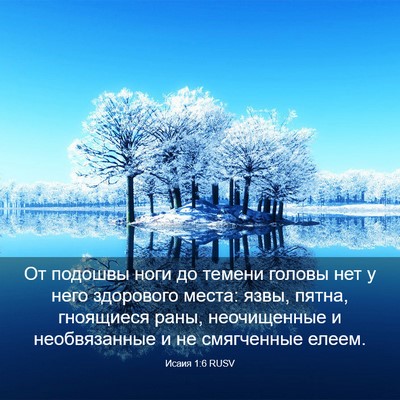 Picture 03 - Исаия 1:6 RUSV - От подошвы ноги до темени - Bible Verse Picture