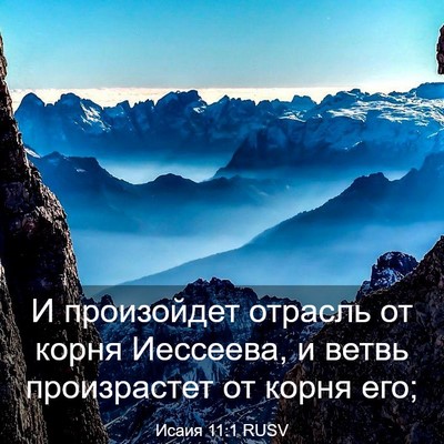 Picture 03 - Исаия 11:1 RUSV - И произойдет отрасль от - Bible Verse Picture