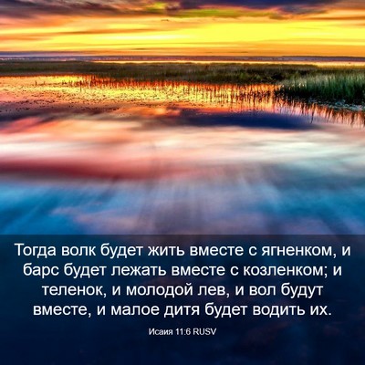 Picture 03 - Исаия 11:6 RUSV - Тогда волк будет жить - Bible Verse Picture
