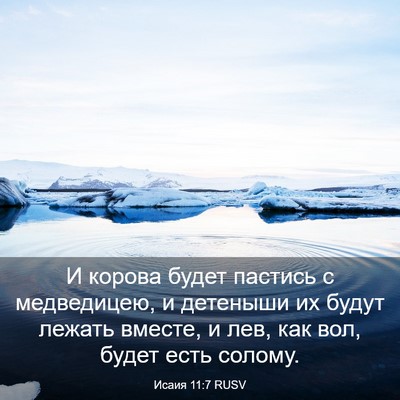 Picture 03 - Исаия 11:7 RUSV - И корова будет пастись с - Bible Verse Picture
