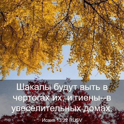 Picture 03 - Исаия 13:22 RUSV - Шакалы будут выть в - Bible Verse Picture
